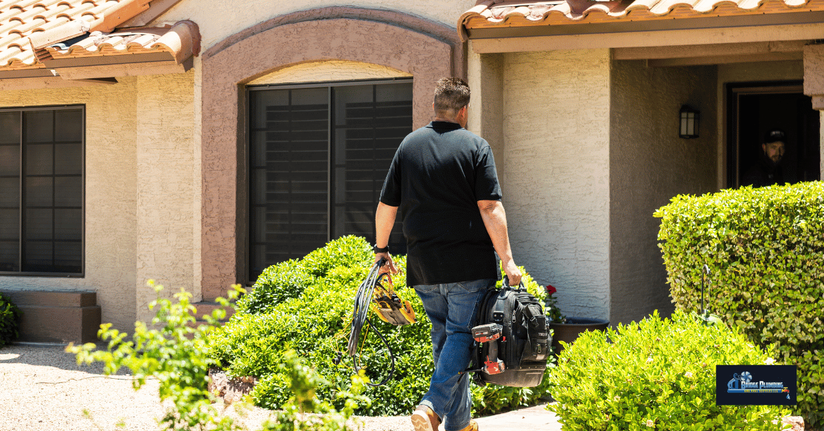 Local Perspective for Peoria and Phoenix