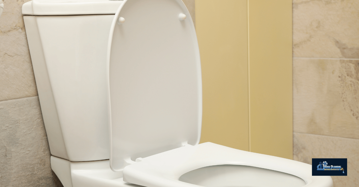 Why Do Toilets Smell Like Sewer? Common Causes and Quick Fixes 3 Professional Plumbing Services for Sewer Smells