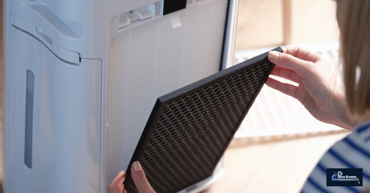 Air Purification Systems