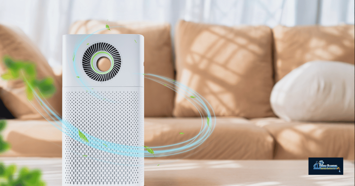 Whole House Air Purification